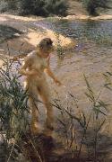 Anders Zorn, Reflexer (Reflexions)